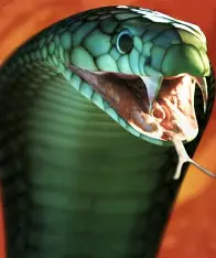 killer-snake